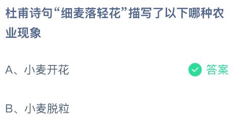 杜甫诗句细麦落轻花描写了以下哪种农业现象？蚂蚁庄园课堂答案最新4月29日