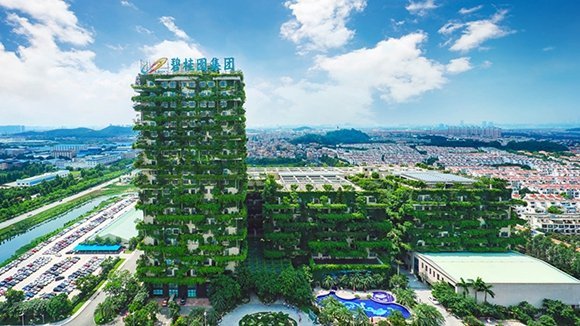 碧桂园8只境内债兑付再次展期 整体债务重组方案仍待落地