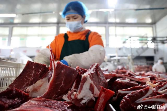 牛肉批发周均价五连涨，2025年牛肉价格或迎拐点